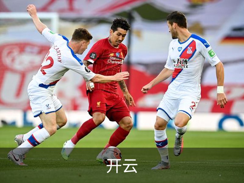 开云简介